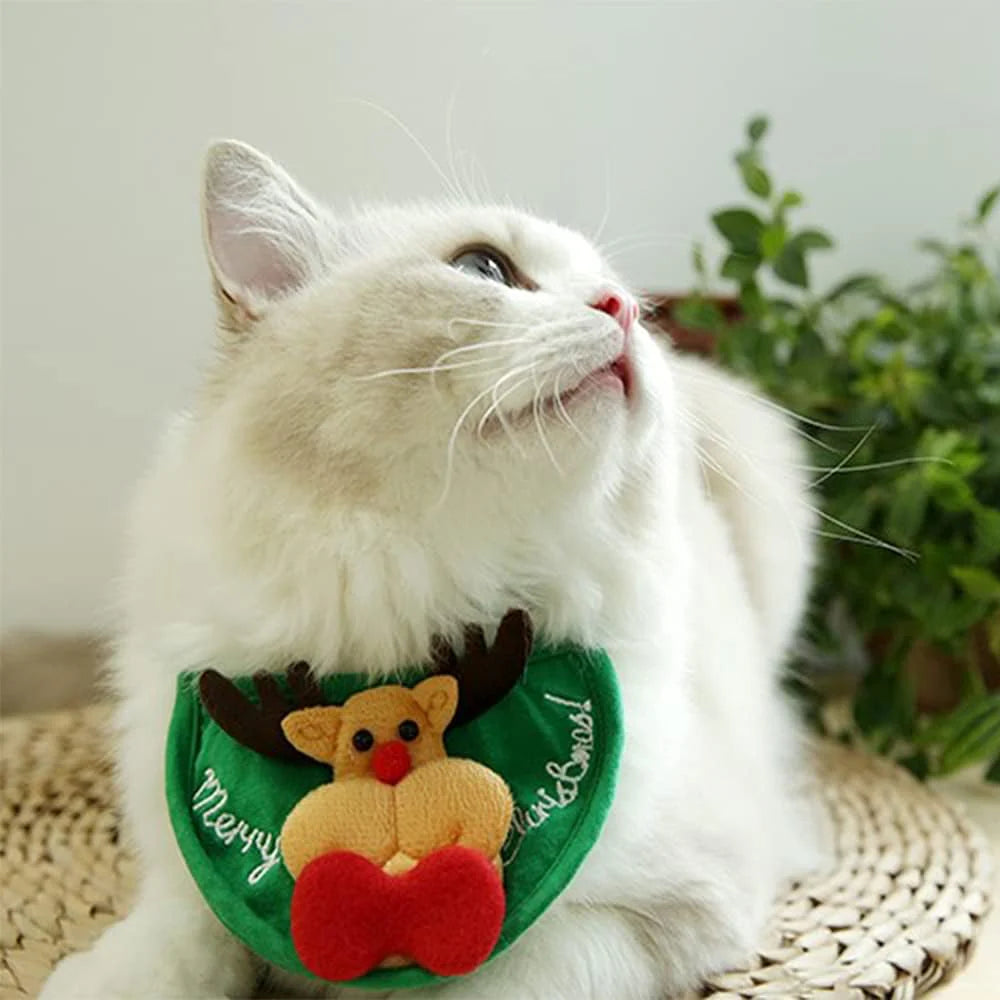 Pawsome Christmas Tree Outfit