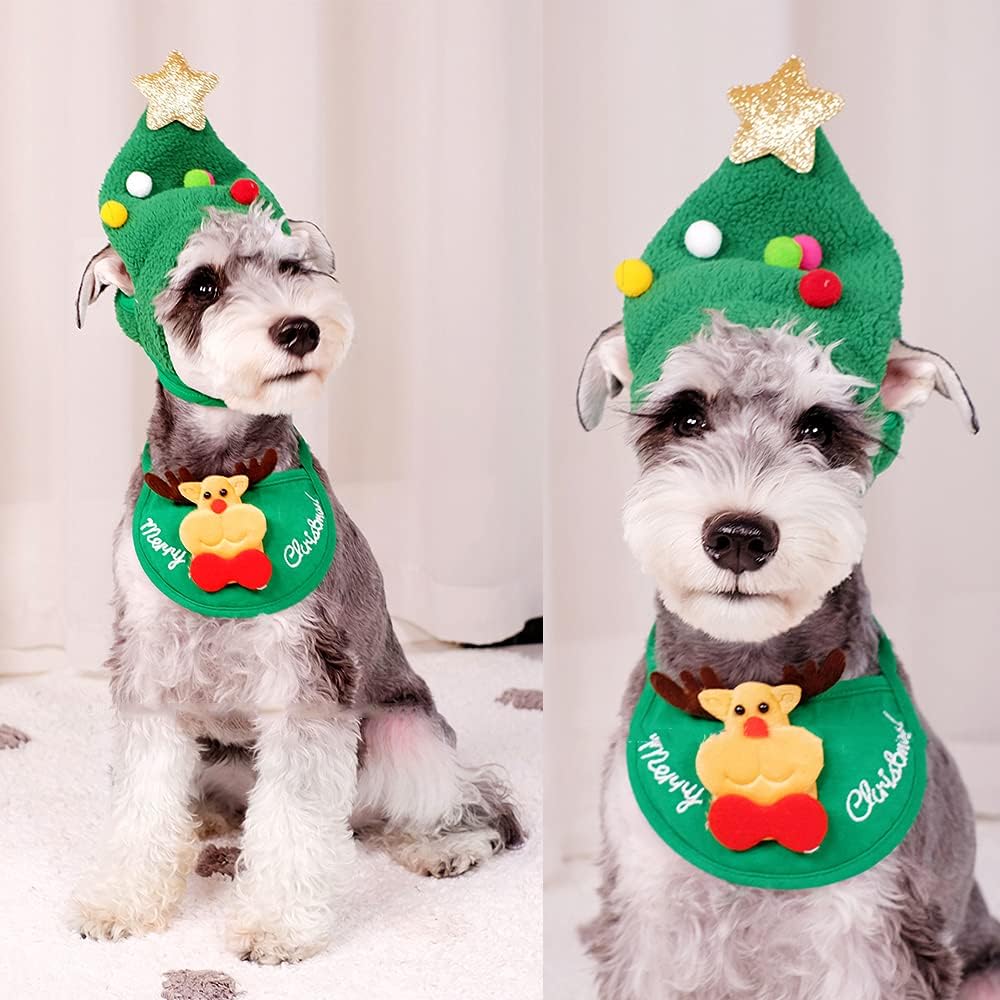 Pawsome Christmas Tree Outfit